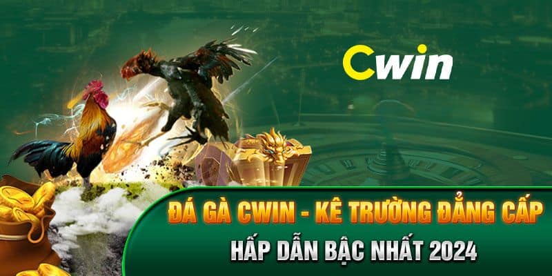 Đá gà Cwin | Sân chơi chọi gà hàng đầu thu gọn trong màn hình Đá gà Cwin | Sân chơi chọi gà hàng đầu thu gọn trong màn hình