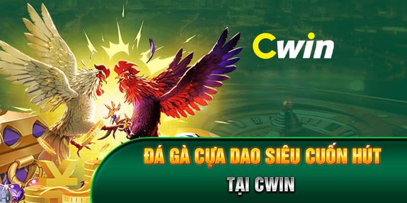 Đá gà Cwin | Sân chơi chọi gà hàng đầu thu gọn trong màn hình Đá gà Cwin | Sân chơi chọi gà hàng đầu thu gọn trong màn hình